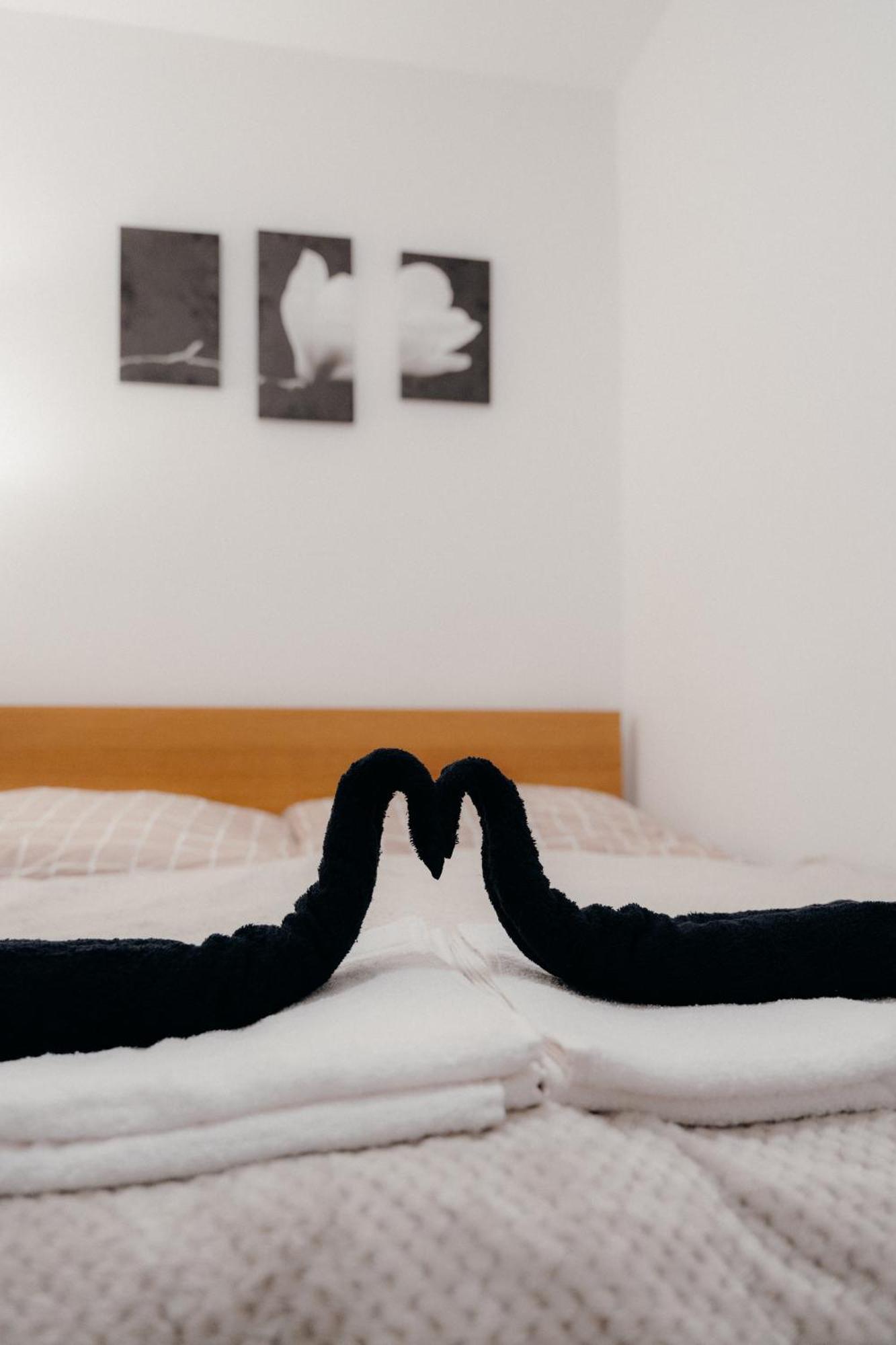 Barbyb Apartment - With Free Parking ブラチスラヴァ エクステリア 写真